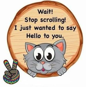 Meet your Posher, Tammy